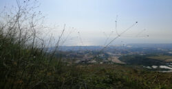 Land for Sale Blat Jbeil Area 614Sqm
