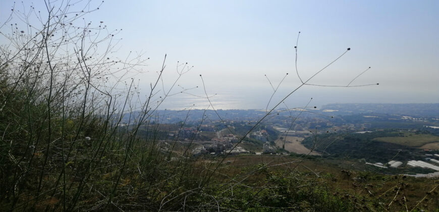 Land for Sale Blat Jbeil Area 614Sqm