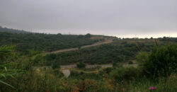 Land for Sale Fidar ( Halat ) Jbeil Area 883Sqm