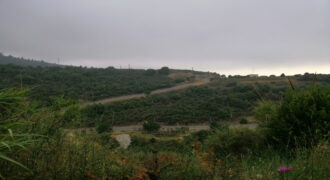 Land for Sale Fidar ( Halat ) Jbeil Area 883Sqm
