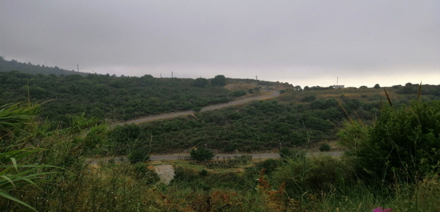 Land for Sale Fidar ( Halat ) Jbeil Area 883Sqm