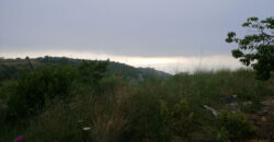 Land for Sale Fidar ( Halat ) Jbeil Area 883Sqm