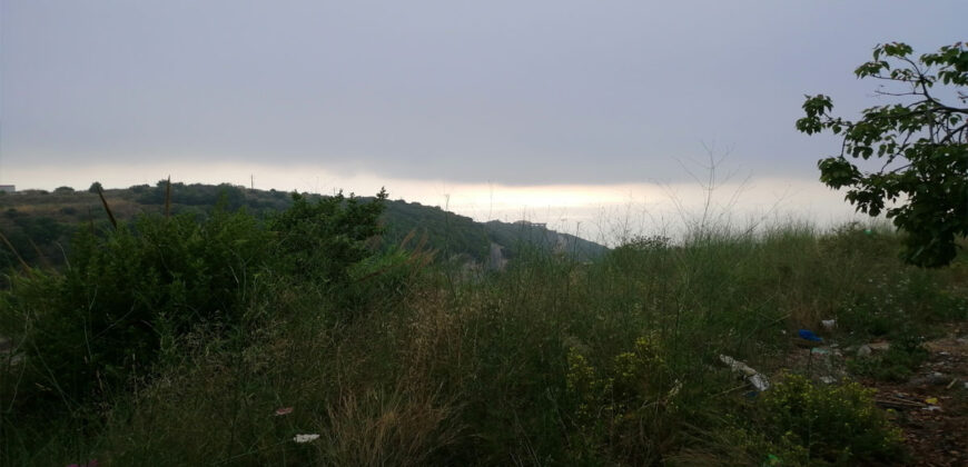 Land for Sale Fidar ( Halat ) Jbeil Area 883Sqm