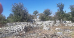 Land for Sale Chabtine Batroun Area 12500Sqm