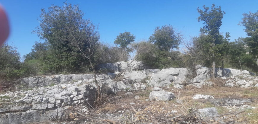 Land for Sale Chabtine Batroun Area 12500Sqm