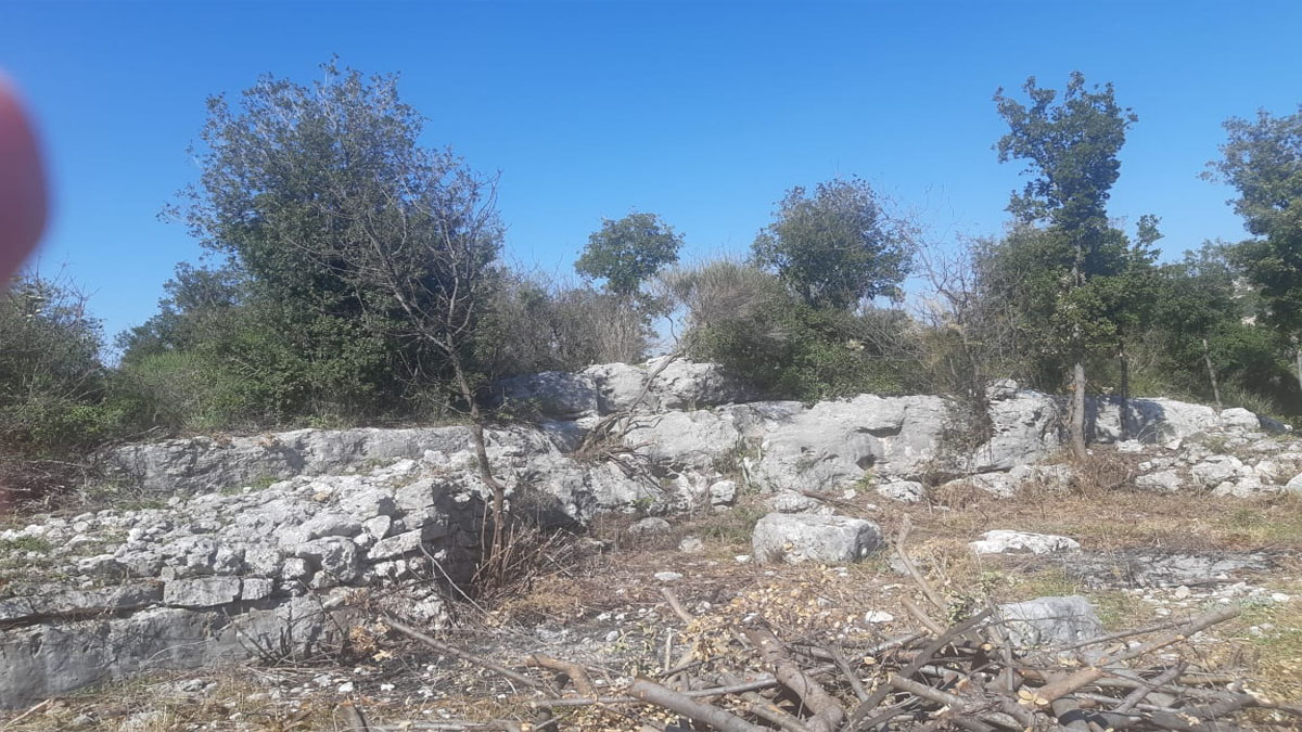 Land for Sale Chabtine Batroun Area 12500Sqm