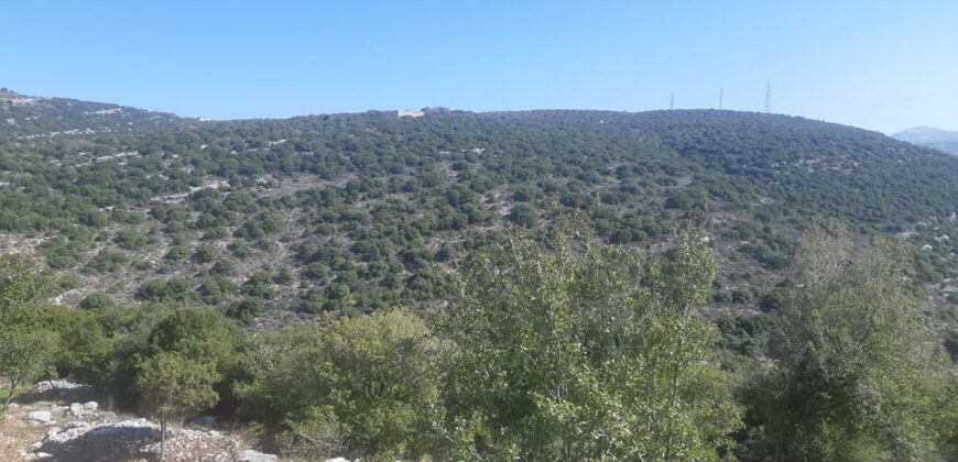 Land for Sale Chabtine Batroun Area 12500Sqm