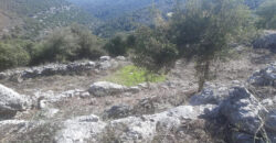 Land for Sale Chabtine Batroun Area 12500Sqm
