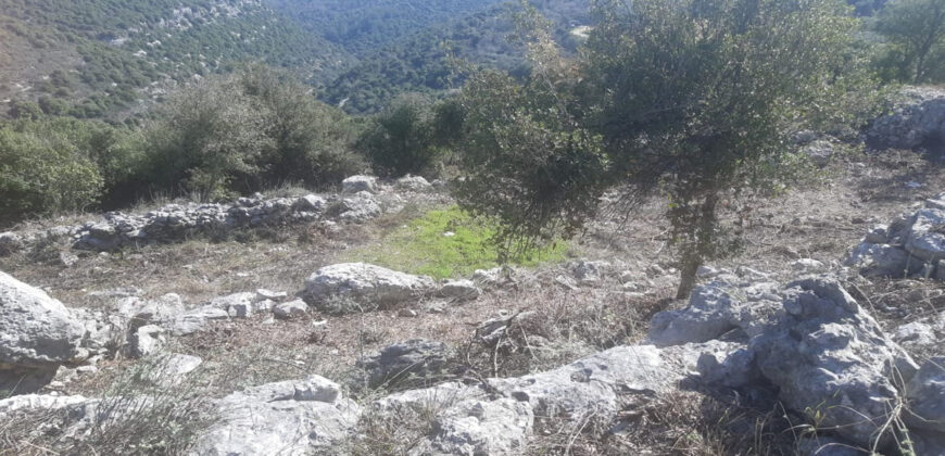 Land for Sale Chabtine Batroun Area 12500Sqm