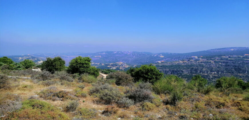 Land for Sale Kharbeh Jbeil Area 2905Sqm