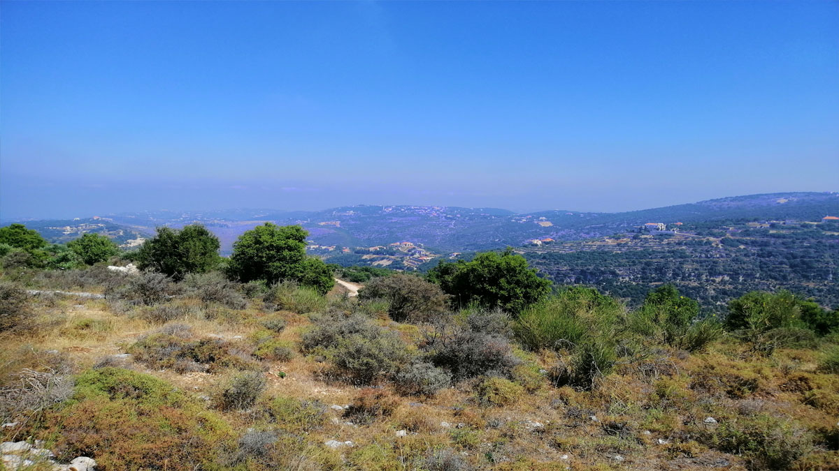 Land for Sale Kharbeh Jbeil Area 2905Sqm