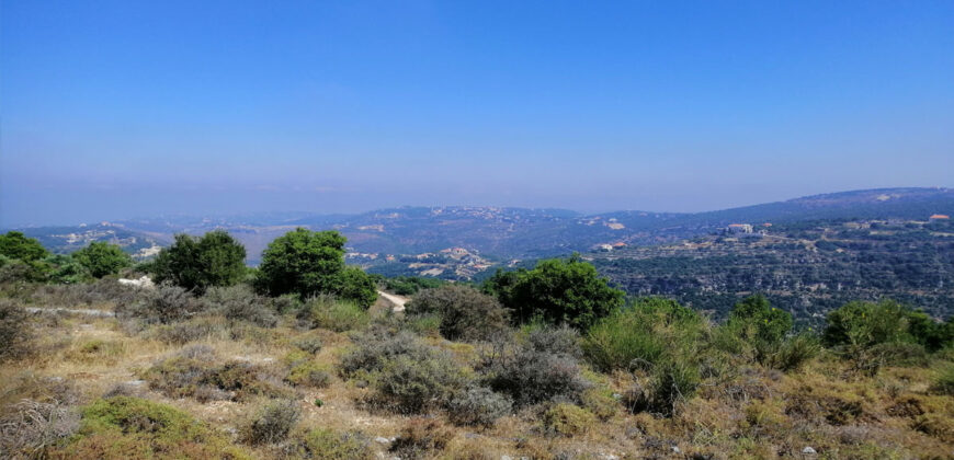 Land for Sale Kharbeh Jbeil Area 2905Sqm