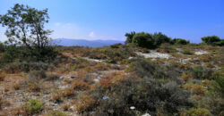 Land for Sale Kharbeh Jbeil Area 2905Sqm