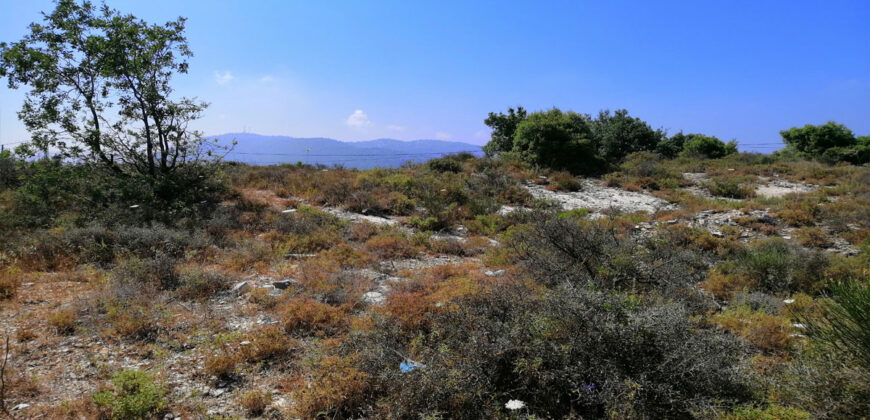 Land for Sale Kharbeh Jbeil Area 2905Sqm