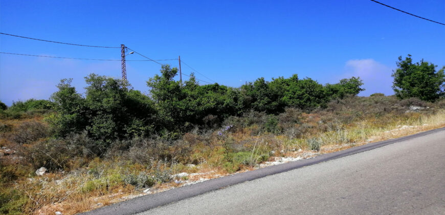 Land for Sale Kharbeh Jbeil Area 2905Sqm