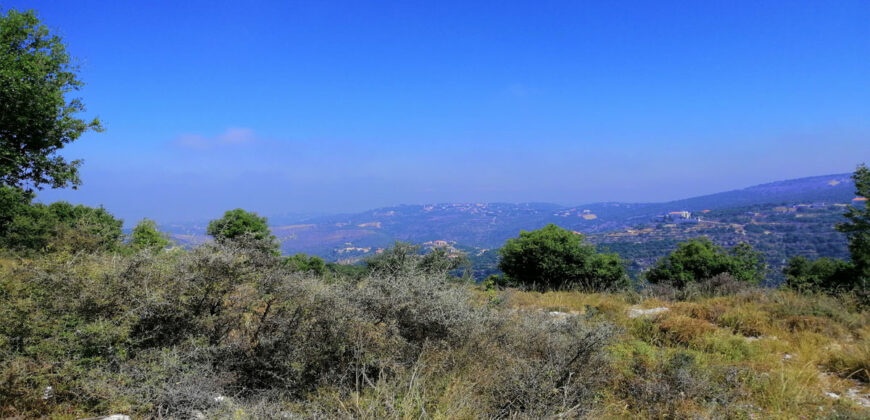 Land for Sale Kharbeh Jbeil Area 2905Sqm