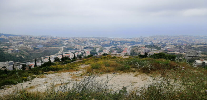 Land for Sale Blat Jbeil Area 1025Sqm