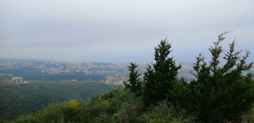 Land for Sale Blat Jbeil Area 1160Sqm