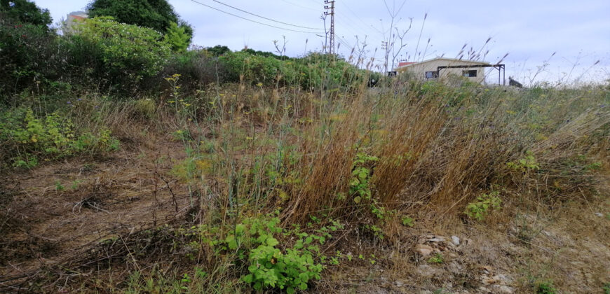 Land for Sale Maad Jbeil Area 930Sqm