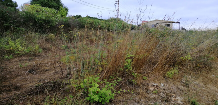 Land for Sale Maad Jbeil Area 930Sqm