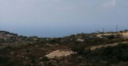 Land for Sale gharzouz Jbeil Area 2000Sqm