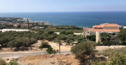 Land for Sale Rayhan Jbeil Area 599Sqm