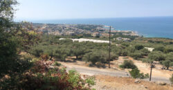 Land for Sale Rayhan Jbeil Area 599Sqm