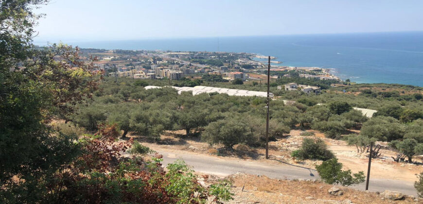 Land for Sale Rayhan Jbeil Area 599Sqm
