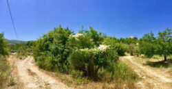 Land for Sale Chabtine Batroun Area 1004Sqm
