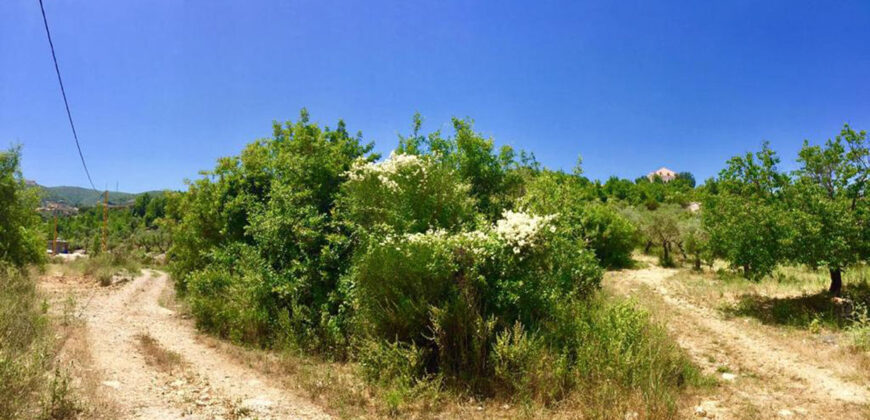 Land for Sale Chabtine Batroun Area 1004Sqm
