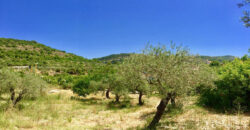 Land for Sale Chabtine Batroun Area 1004Sqm