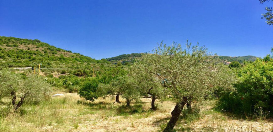 Land for Sale Chabtine Batroun Area 1004Sqm