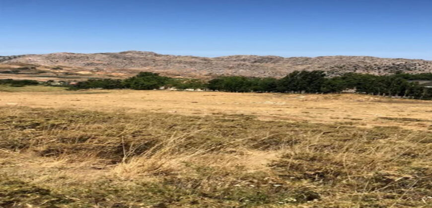 Land for Sale Aaqoura ( Laqlouq ) Area 810Sqm