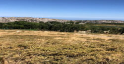 Land for Sale Aaqoura ( Laqlouq ) Area 810Sqm