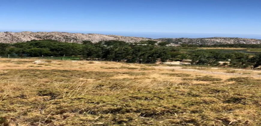 Land for Sale Aaqoura ( Laqlouq ) Area 810Sqm