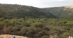 Land for Sale Chamat Jbeil Area 32400Sqm
