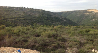 Land for Sale Chamat Jbeil Area 32400Sqm