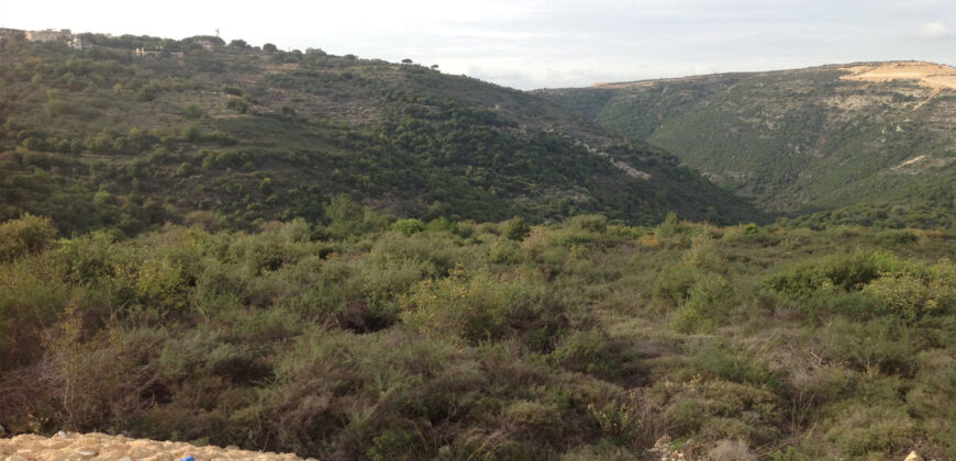 Land for Sale Chamat Jbeil Area 32400Sqm