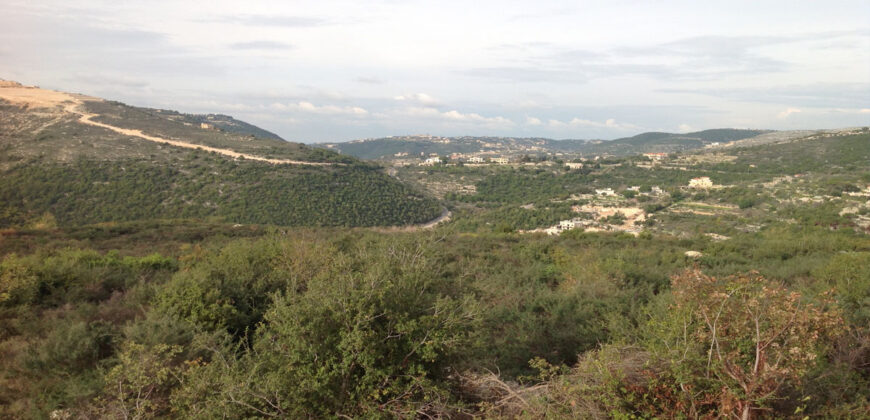 Land for Sale Chamat Jbeil Area 32400Sqm