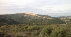 Land for Sale Chamat Jbeil Area 32400Sqm