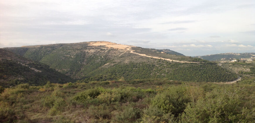 Land for Sale Chamat Jbeil Area 32400Sqm
