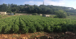 Land for Sale Maad Jbeil Area 3282Sqm