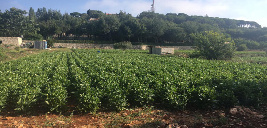 Land for Sale Maad Jbeil Area 3282Sqm