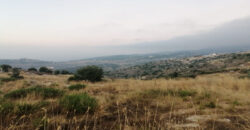 Land for Sale Aalali Batroun Area 2000Sqm