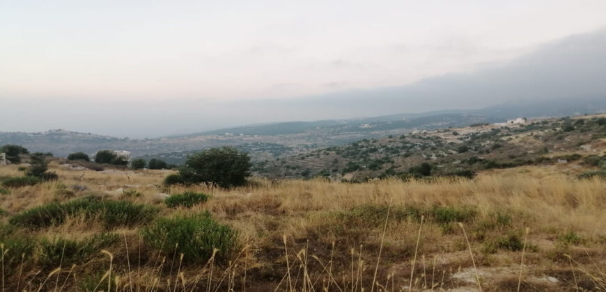 Land for Sale Aalali Batroun Area 2000Sqm