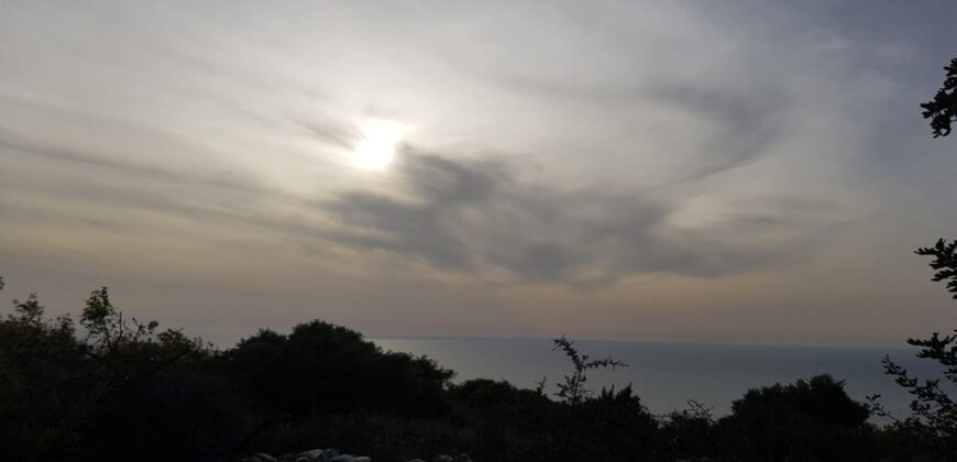 Land for Sale Monsef Jbeil Area 1018Sqm