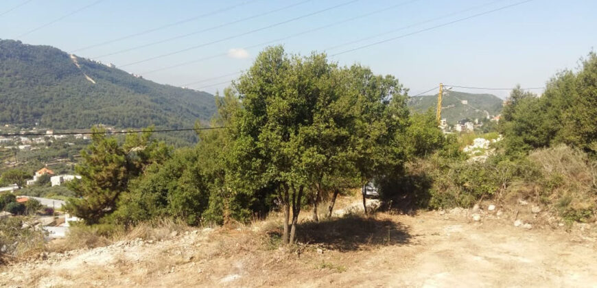 Land for Sale Bchelleli Jbeil Area 1100Sqm