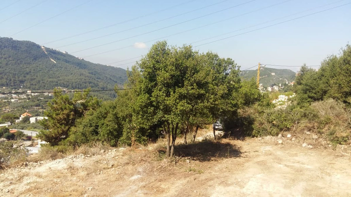 Land for Sale Bchelleli Jbeil Area 1100Sqm