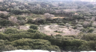 Land for Sale Ghalboun Jbeil Area 5306Sqm