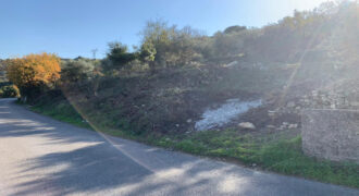Land for Sale Ghalboun Jbeil Area 11858Sqm